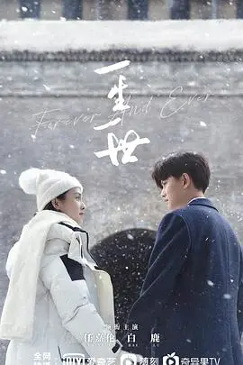 《一生一世》影评：跨越时空的爱恋，时代洪流下的真挚情感，圆满结局是否才是真？