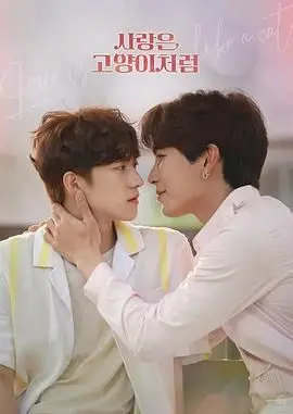 《爱情像猫一样》：跨国恋的甜蜜与挑战，当傲娇霸总遇上软萌猫系少女！