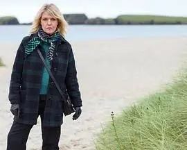 《设得兰谜案 第九季》回归：迷雾再起，真相难寻？深度解析与看点揭秘！